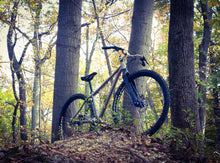 Load image into Gallery viewer, Optimus Ti Frame