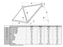 Load image into Gallery viewer, Optimus Ti Singlespeed Bike
